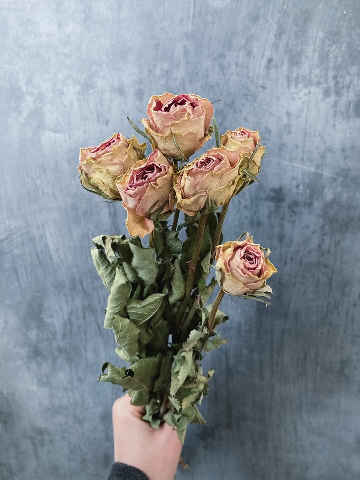 Preserved & Dried Flowers