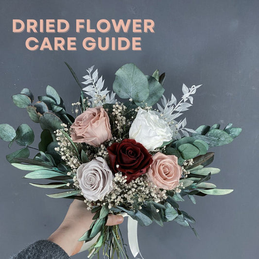 How to care for your dried flowers: our complete guide